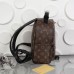 MOCHILA LOUIS VUITTON PALM SPRINGS PM