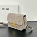 BOLSA CELINE TRIOMPHE NUBUCK CINZA