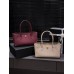 BOLSA CHANEL SMALL SHOPPING BAG BOLSA CHANEL SMALL SHOPPING BAG