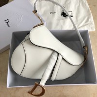 BOLSA CHRISTIAN DIOR SADDLE