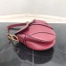 BOLSA CHRISTIAN DIOR SADDLE