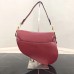 CHRISTIAN DIOR SADDLE
