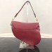 BOLSA CHRISTIAN DIOR SADDLE