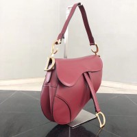 CHRISTIAN DIOR SADDLE