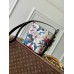 LOUIS VUITTON ALL IN BB MONOGRAM EDEN