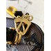 LOUIS VUITTON VANITY CHAIN POUCH