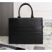 BOLSA DIOR BOOK TOTE