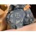 BOLSA LOUIS VUITTON DENIM PLEATY