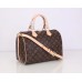 LOUIS VUITTON SPEEDY 30 MONOGRAM