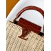LOUIS VUITTON CAPUCINES SUMMER